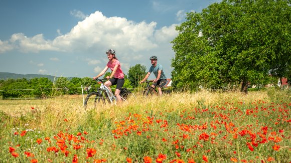 Mit dem Rad entlang der blühenden Mohnblumenwiese bei Niederkirchen